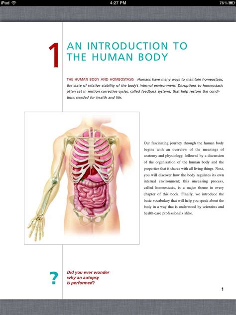 Human Anatomy And Physiology Chapter 1 Anatomical Charts Posters