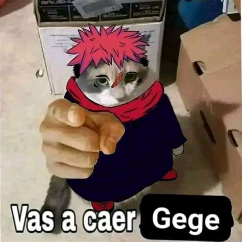 Vas A Caer Gege In Funny Anime Pics Anime Memes Silly Memes