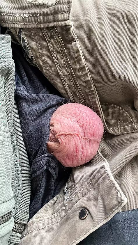 Dick Pop Out After Inversion Gay Fetish Porn XHamster
