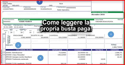 Come Leggere La Busta Paga Guida Completa