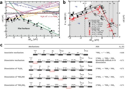 A Free Energy Change Of Intermediate Reactions Of NRR As A Function Of