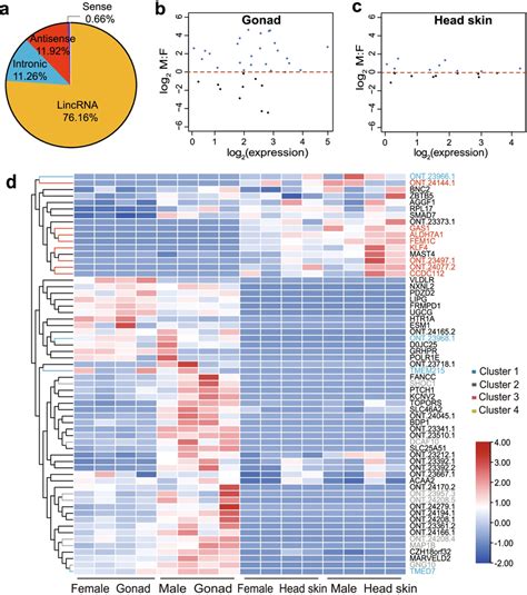 Characteristics Of Identified Lncrnas On The Duck Z Chromosome A