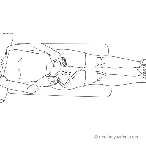 Hip Adductor Strain Rehab My Patient