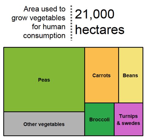 Increase In Area Used To Grow Vegetables For Human Consumption Scottish Agricultural Census