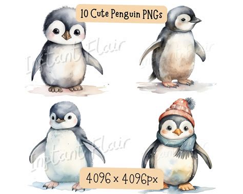 Cute Penguin Watercolor Clip Art Bundle PNG Designs Decorative Images