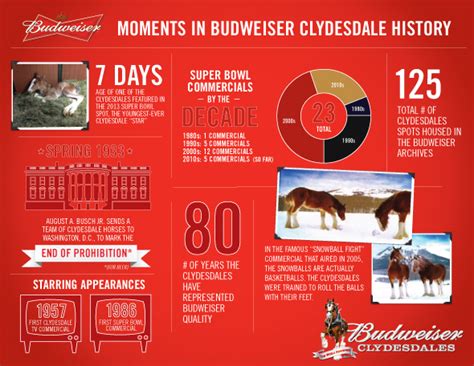 Baby Clydesdale star of Budweiser Super Bowl ad - SuperBowl-Ads.com