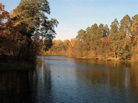 Пуща-Водица, путеводитель по городу