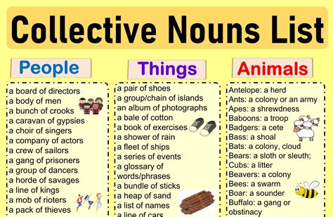 Comprehensive List Of English Collective Nouns With Examples