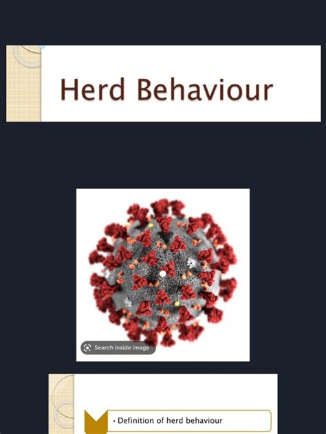 Herd Behavior | PDF