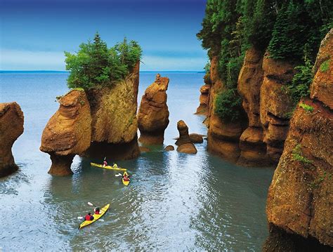 Hopewell Rocks Provincial Park Fundy Biosphere Reserve Explorer