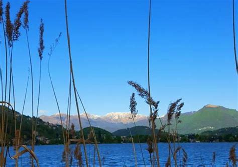 Saluti Da Lavena Ponte Tresa VareseNews