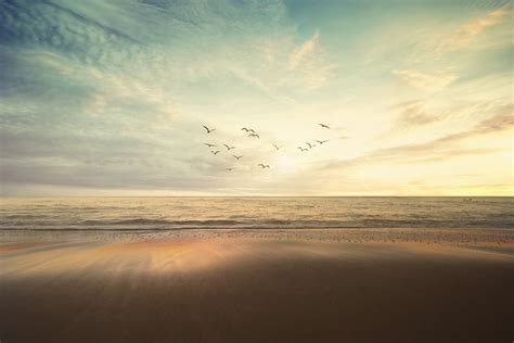 The Composition Checklist | Contrastly