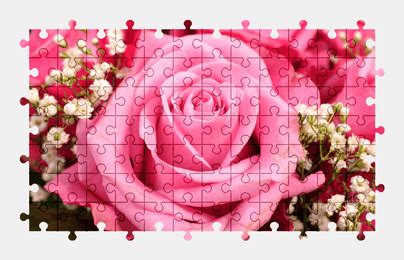 Rose Jigsaw Puzzles Online