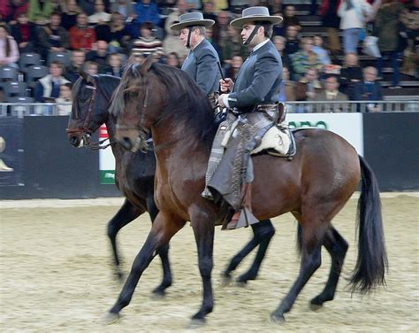 C Diz Provins I Spania Store Norske Leksikon