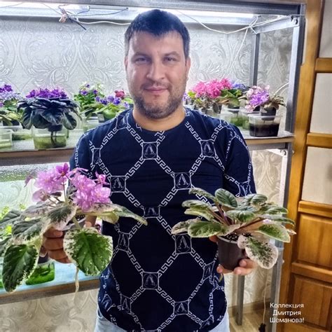 Урааа Вот и в моей коллекции появился хит этого года Фиалки сорта ...