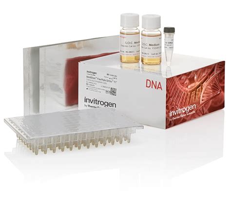 Invitrogen MultiShot FlexPlate DH5α T1R Competent Cells MultiShot