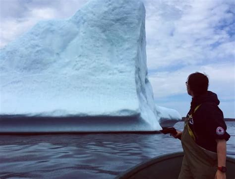 These Fisherman Couldn’t Believe What Animal They Found On An Iceberg ...