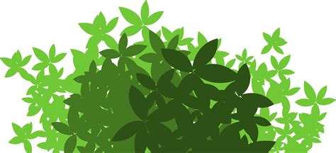 Green Bush Png 15715990 Png