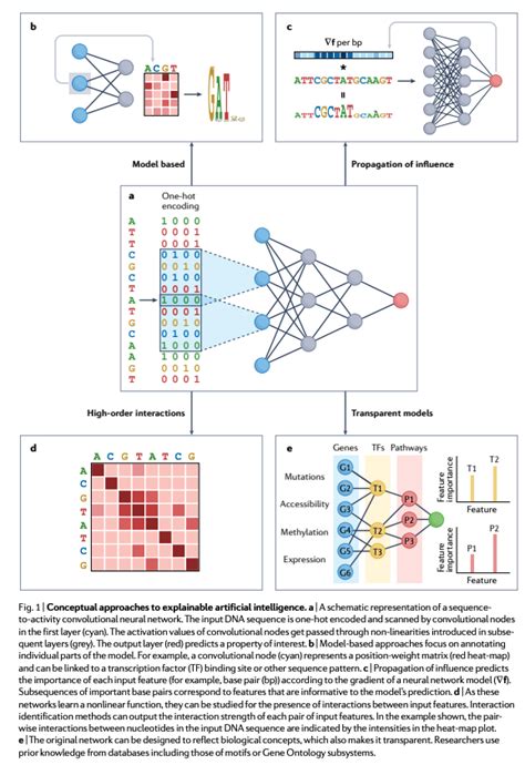 Nature Reviews Genetics On Twitter RT BioDecoded Obtaining Genetics