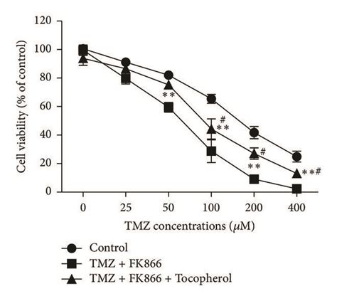 The C Jun Jnk Pathway And Ros Production Contribute To The