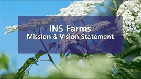 Ins Farms Mission And Vision Statement Youtube