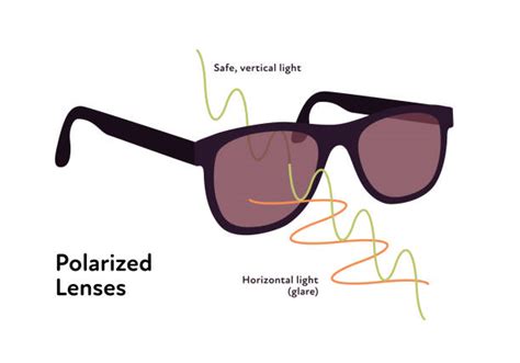 What Do Polarized Lenses Do? - Vooglam