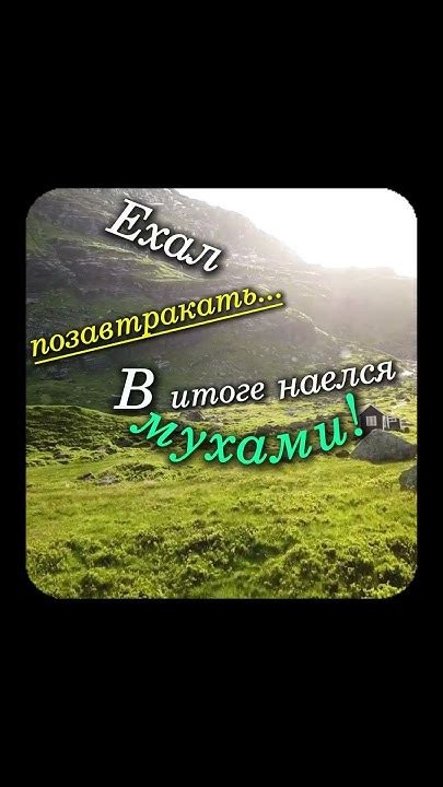 Белковое Питание!👈😂#hopecore #hopelesscore #смешно - YouTube