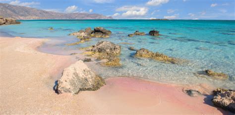 Pink Beach Taman Nasional Komodo Masuk Daftar 20 Pantai Terbaik Di