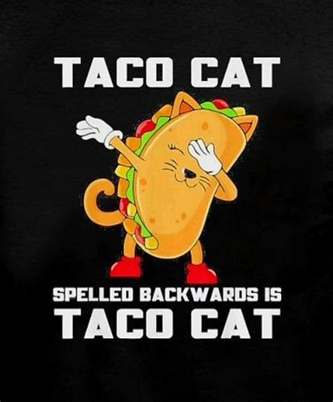 Pin By Kay Valdez Noble On Bitmoji Me Moi Taco Cat Tacos Cats