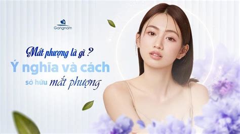 Mắt Phượng Là Gì Ý Nghĩa Tướng Số Và Cách Sở Hữu đôi Mắt Phượng