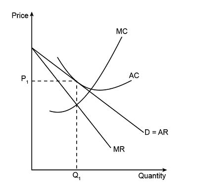 Oligopoly Graph Microeconomics