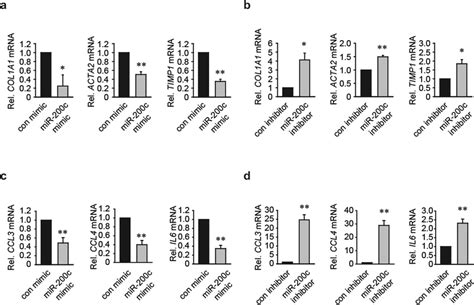 Mir C Decreases Hepatic Fibrogenic And Inflammatory Gene Expression