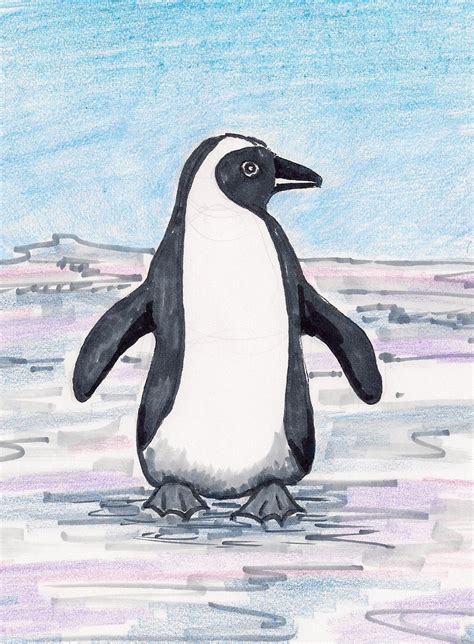Рисунок пингвина карандашом (Много фото!) - drawpics.ru