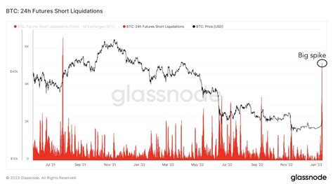 Six Metrics Suggesting Bitcoin Is A Must Buy Mudrex Blog