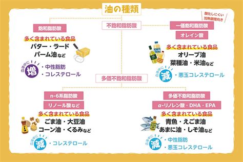 管理栄養士に学ぶ油の豆知識！～健康的な油の種類とは？～｜社会医療法人三栄会 ツカザキ病院