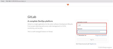 Devops Code Git Gitlab Deveco Studio Gitlab Csdn