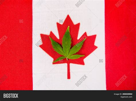 Canadian Flag Cannabis Image And Photo Free Trial Bigstock