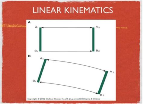 Biomechanics Exam Review Flashcards Quizlet