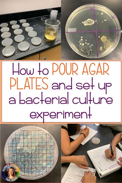 How To Set Up A Bacterial Culture Lab - Science Lessons That Rock ...