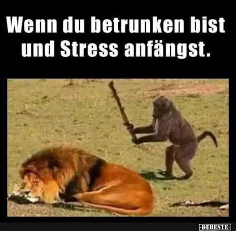 Witzige Stress Spr Che Stress Spr Che Zitate Und Weisheiten