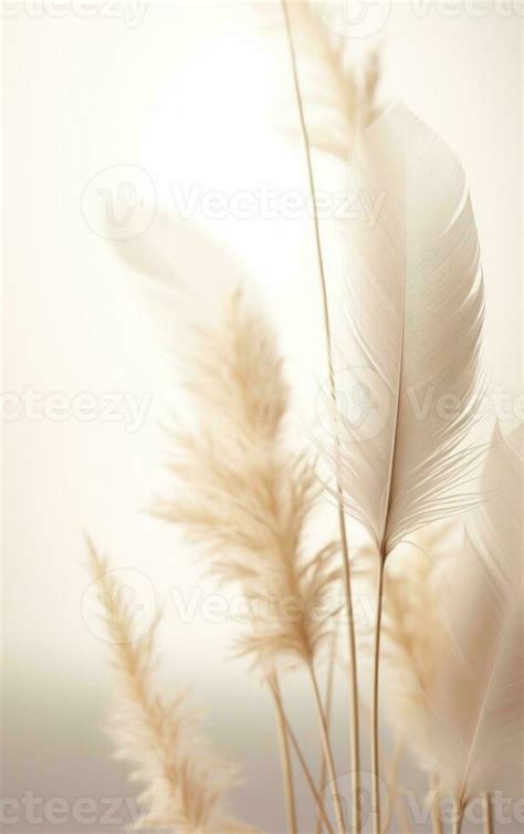 Abstract natural beige background 26575061 Stock Photo at Vecteezy