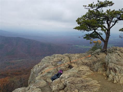 Rock Climbing in Raven's Roost Cliff, Central & Southern VA Region