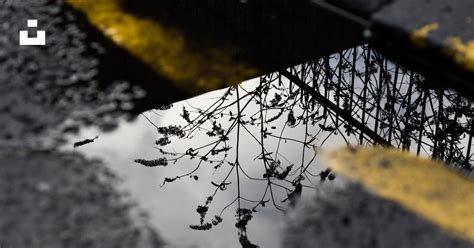 Black wire fence near green trees during daytime photo – Free Uk Image ...