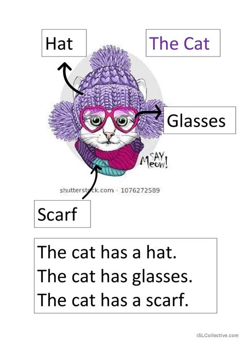 The Cat Hasi Have Pictur English Esl Worksheets Pdf And Doc