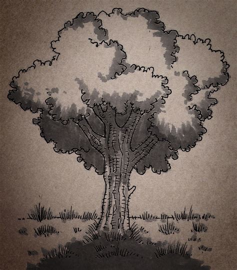 Top 148 Como Dibujar A Un Arbol Ginformate Mx