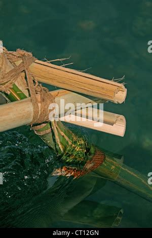 Close Up Of Temporary Bamboo Bridge Noa Dehing River Namdapha