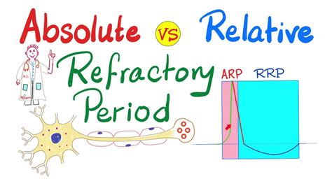 Effective And Relative Refractory Period