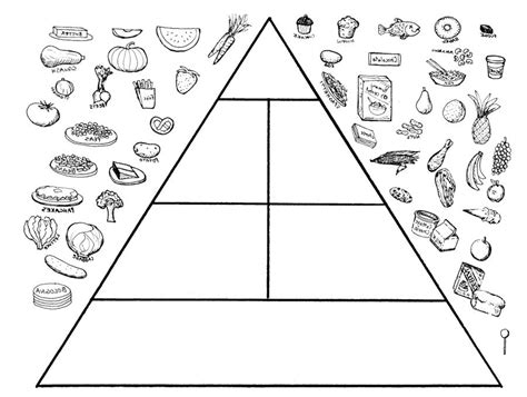 Worksheet Food Pyramid Worksheets Blank Food Pyramid Coloring Page Porn Sex Picture