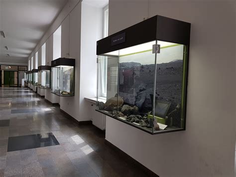 Geologisches Museum M Nchen I Staatliche Naturwissenschaftliche