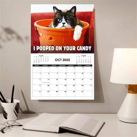 VICNIC Calendário de gatos Peed Off 2025 Presentes engraçados